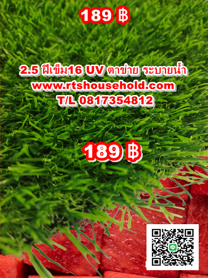 “#หญ้าเทียมตัดให้ฟรีตามขนาดห้อง0817354812ขนาดสวนBKK  PATTAYA ทอเเน่นขนไม่หลุดซื้อครั้งใช้นาน ดูดูความเเน่นหนาของหญ้าได้จากรูปถ่ายตัวจริงของหญ้าเกรดโครงการT/L 0813735190 Artificial grass cut for free according to the size of the garden grass ตัดตาม ขนาดหน้