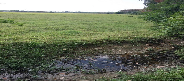 ที่ดิน 9 ไร่เศษ เหมาะคนรักสงบ เดินทางได้หลายเส้นทาง ใกล้ความเจริญ ตัวเมืองนครศรีธรรมราช