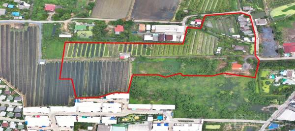 ขายที่ดิน 23 ไร่ อนาคตดี ใกล้กับตัดใหม่กัลปพฤกษ์-กระทุ่มแบน พุทธสาคร และเศรษฐกิจ ในราคาที่จับต้องได้ - KK1946S