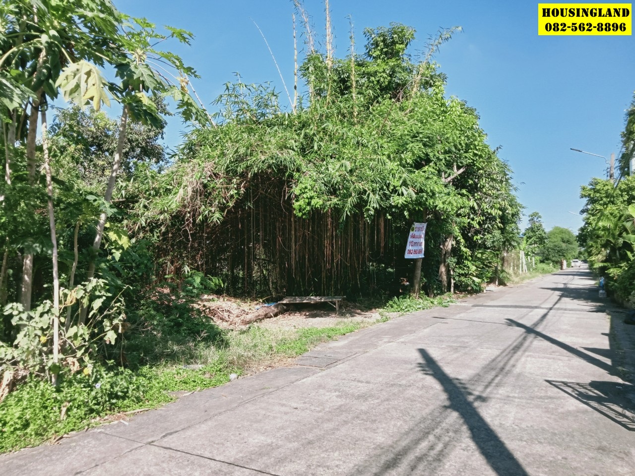 ขายที่ดินแนวรถไฟฟ้าคูคต ซอยจามร ก.(แปลง2) ลำลูกกา ปทุมธานี