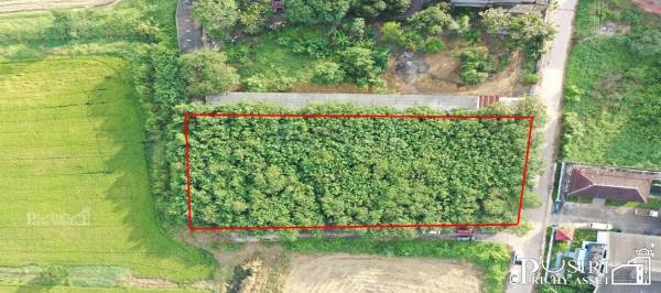 ที่สวยเกือบ 2ไร่ ทำเลทอง ใกล้ถนนสายใยรัก เพียง 200 เมตร สร้างอะไรก็ลงตัว แถมสะดวกในการเดินทาง - KK1952S