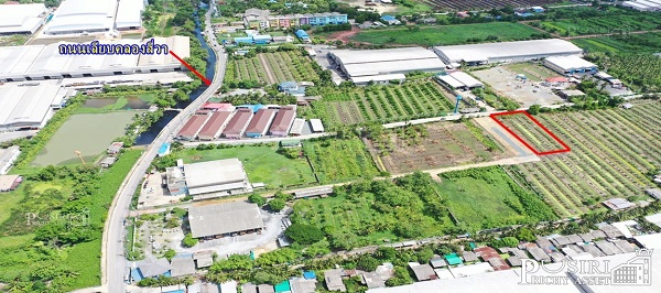 ขายที่ทรงสวย1 ไร่ พร้อมการเดินทางที่สะดวก บนถนนเลียบคลองสี่วา ใกล้แคราย และ บางบอน 5 ราคาพิเศษ - KK3631S
