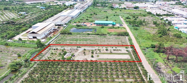 ที่สวย 5 ไร่ สร้างโรงงานใหญ่ได้ถึง 5,000 ตร.ม. อย่างลงตัว พร้อมระบายน้ำลงคลองด้านหลังได้ ใกล้ ถ.พระราม 2 และอีก 2 ถนนหลัก