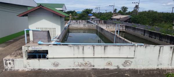 ขายโรงงาน 6ไร่ 3งาน สำหรับ คนชอบที่ดินแปลงสวยหน้ากว้าง 200 กว่าเมตร ติดถนนใกล้พระราม 2 พร้อมรายการต่างๆครบถ้วน - KK2151S