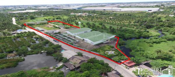 ขายโรงงาน 6ไร่ 3งาน สำหรับ คนชอบที่ดินแปลงสวยหน้ากว้าง 200 กว่าเมตร ติดถนนใกล้พระราม 2 พร้อมรายการต่างๆครบถ้วน - KK2151S