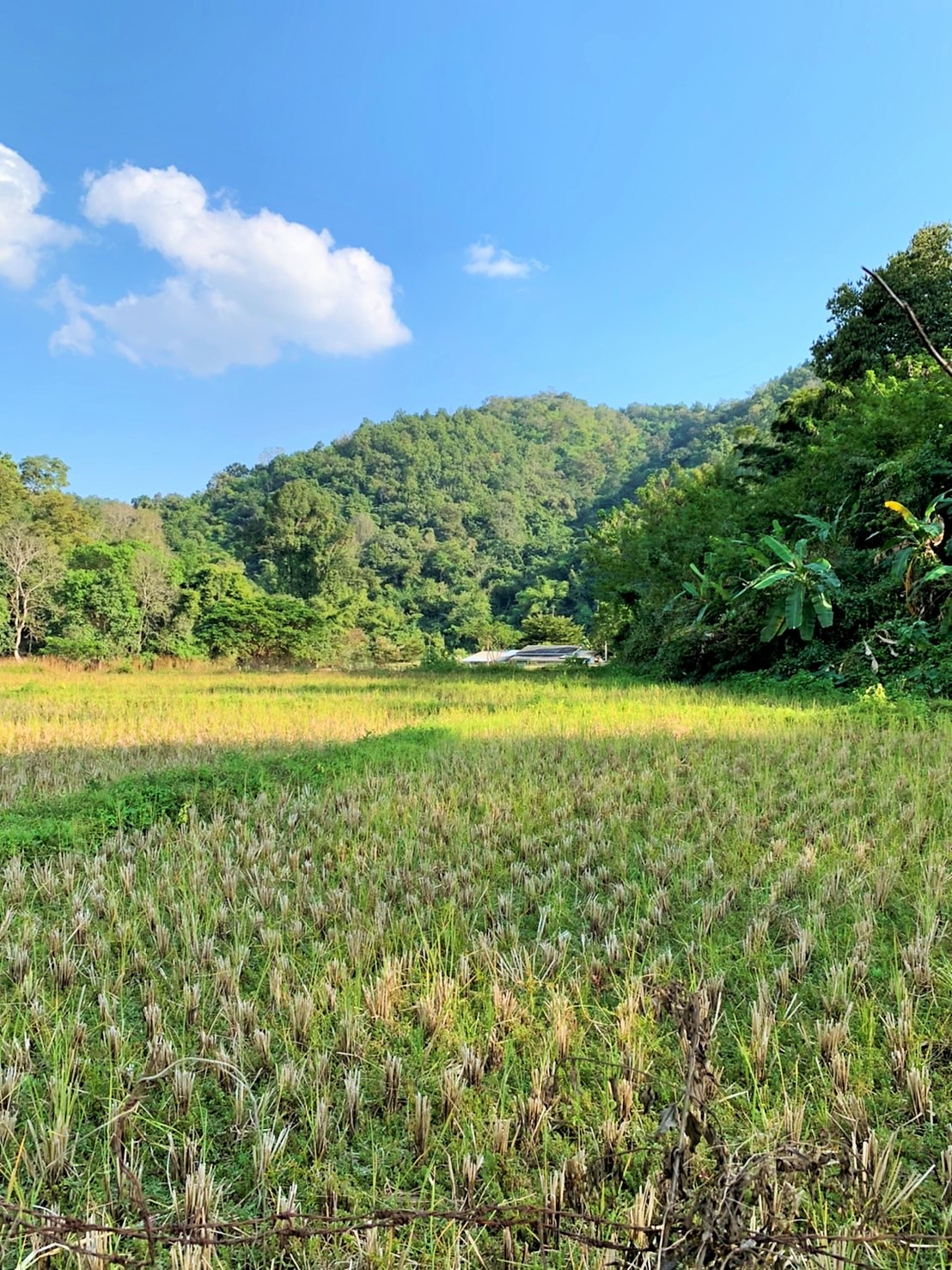 ขายที่ดิน แม่เหียะ เชียงใหม่ 3 ไร่ 1 งาน ติดลำคลอง ลำห้วย วิวทุ่งนา ภูเขา  ใกล้วัดสวนพริก พืชสวนโลก พระธาตุดอยคํา เดินทางสะดวก ไม่ไกลสนามบินและตัวเมือง