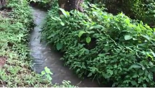 ขายที่ดิน แม่เหียะ เชียงใหม่ 3 ไร่ 1 งาน ติดลำคลอง ลำห้วย วิวทุ่งนา ภูเขา  ใกล้วัดสวนพริก พืชสวนโลก พระธาตุดอยคํา เดินทางสะดวก ไม่ไกลสนามบินและตัวเมือง