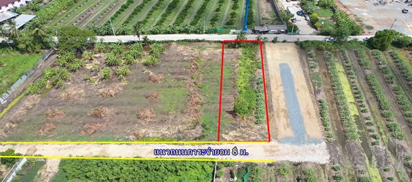 ขายที่ขนาดย่อม 200 วา เดินทางสะดวก บนถนนเลียบคลองสี่วา ใกล้กับแครายและบางบอน 5 ในราคาเพียง 3.5 ล้าน