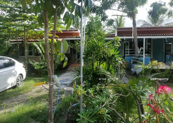 บ้านแฝด!!!ชั้นเดียว ใหม่เอี่ยม ให้เช่าบรรยากาศในสวน ร่มรื่น (บางปลารีสอร์ท) พร้อมเฟอร์นิเจอร์50ตรว. อ.บางเลน จ.นครปฐม