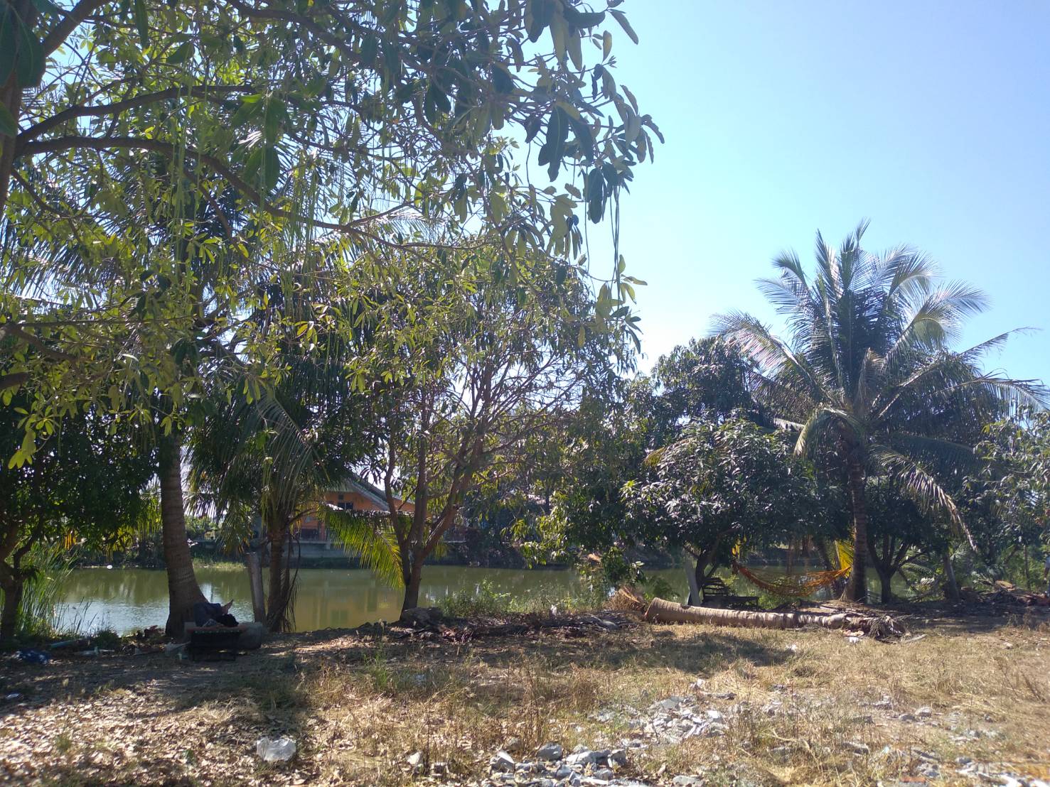 ให้เช่าโกดังด่วน พิ้นที่1ไร่กว่า อยู่ติดถนนใหญ่ ตัวโกดังกว้าง15x20เมตร จอดรถได้สะดวก อยู่ อ.บางเลน จ.นครปฐม ให้เช่า 29,000 /เดือน