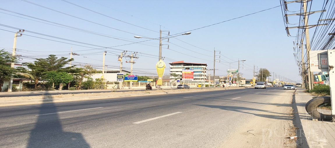 ที่สีม่วง ราคาถูกกว่าตลาด 197 ไร่เศษ ติดนิคมบางพลี เดินทางสะดวก