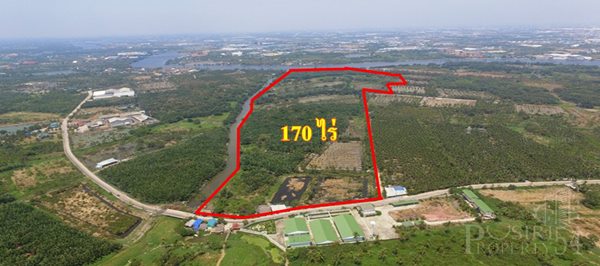 ขายนางงาม 170 ไร่ ติดแม่น้ำท่าจีน 200 เมตร กำไร 350 - 400 ล้าน มาพร้อมเขื่อน ที่ถมน้อย ใกล้ถ.พระราม 2