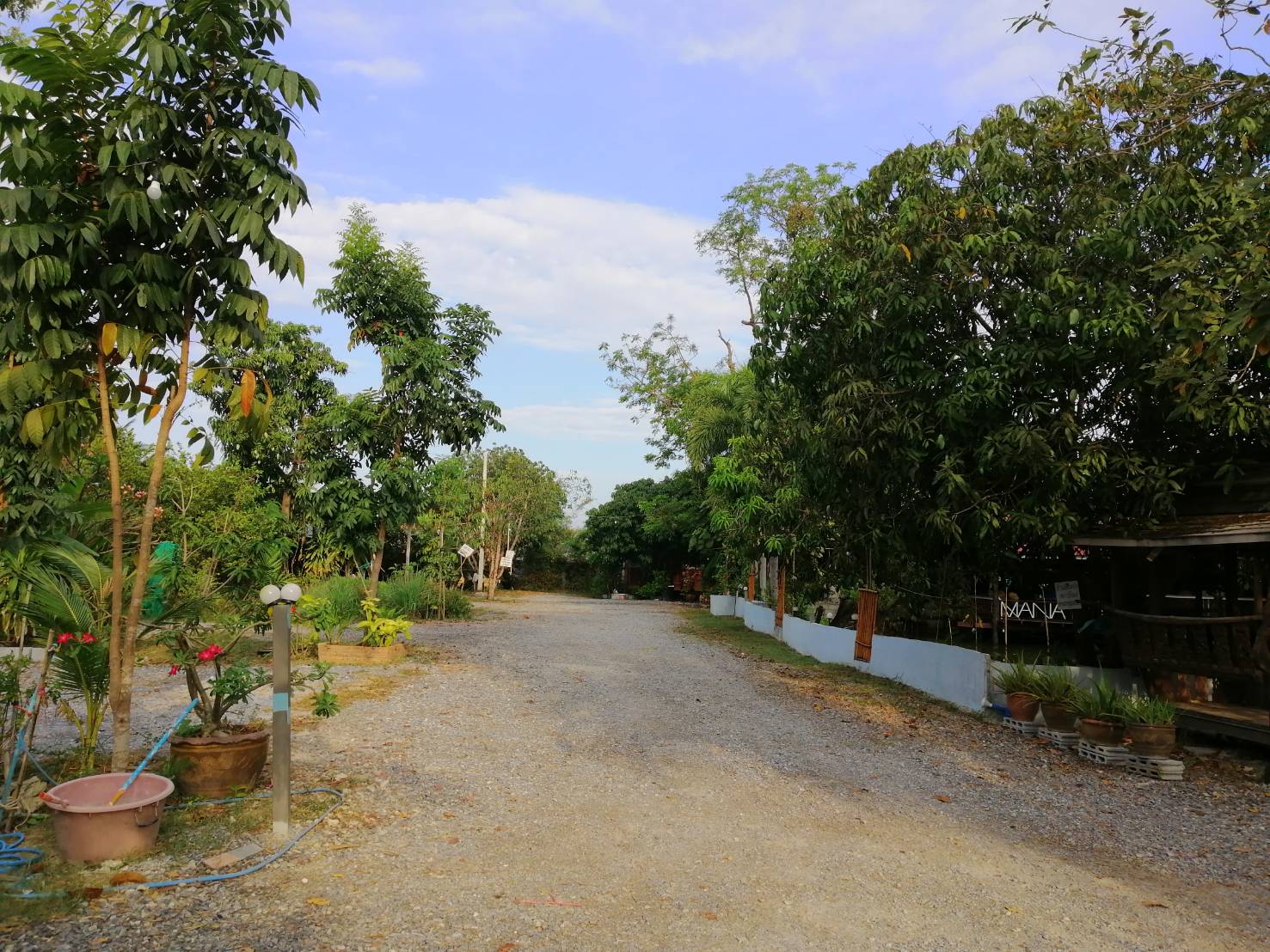 ให้เช่าทำ(สวนอาหาร-บ่อตกกุ้ง)บรรยากาศที่เป็นธรรมชาติ มีบ่ออยู่แล้ว สามารถตกแต่งเพิ่มได้ มีห้องพักพร้อม อยู่้ อ.บางเลน จ.นครปฐม ให้เช่าราคา20,000/ เดือน