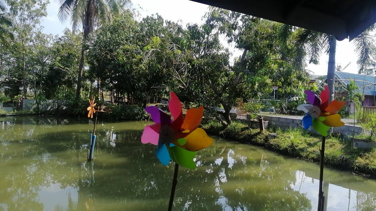 ให้เช่าทำ(สวนอาหาร-บ่อตกกุ้ง)บรรยากาศที่เป็นธรรมชาติ มีบ่ออยู่แล้ว สามารถตกแต่งเพิ่มได้ มีห้องพักพร้อม อยู่้ อ.บางเลน จ.นครปฐม ให้เช่าราคา20,000/ เดือน