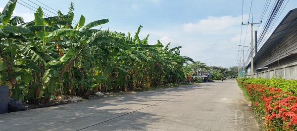ที่วิวคุ้งน้ำเต็มๆ 180 องศา ที่ 7 ไร่เศษ ใกล้ตลาดกระทุ่มแบน เพียง 15 นาที   KK3680S
