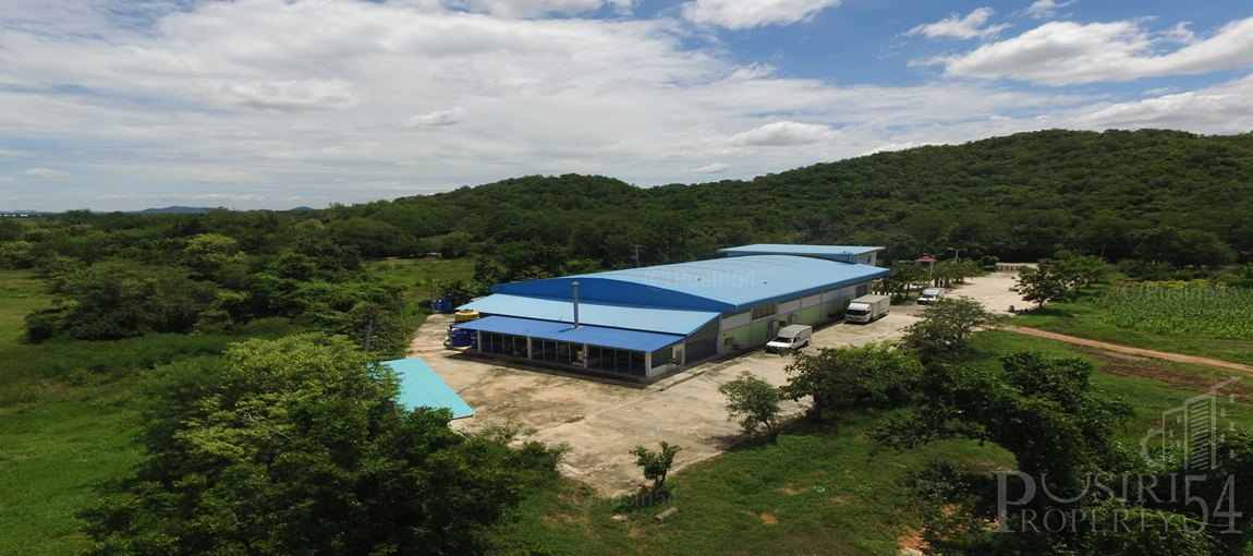 ครบทุกอย่าง โรงงาน+ใบอนุญาต บนเนื้อที่กว่า 13ไร่ พร้อมใช้งานต่อได้ทันที ติดถนนสายเขากวาง-บ้านดอนแร่ ราชบุรี ราคาสุดพิเศษ – ขายโรงงานราชบุรี