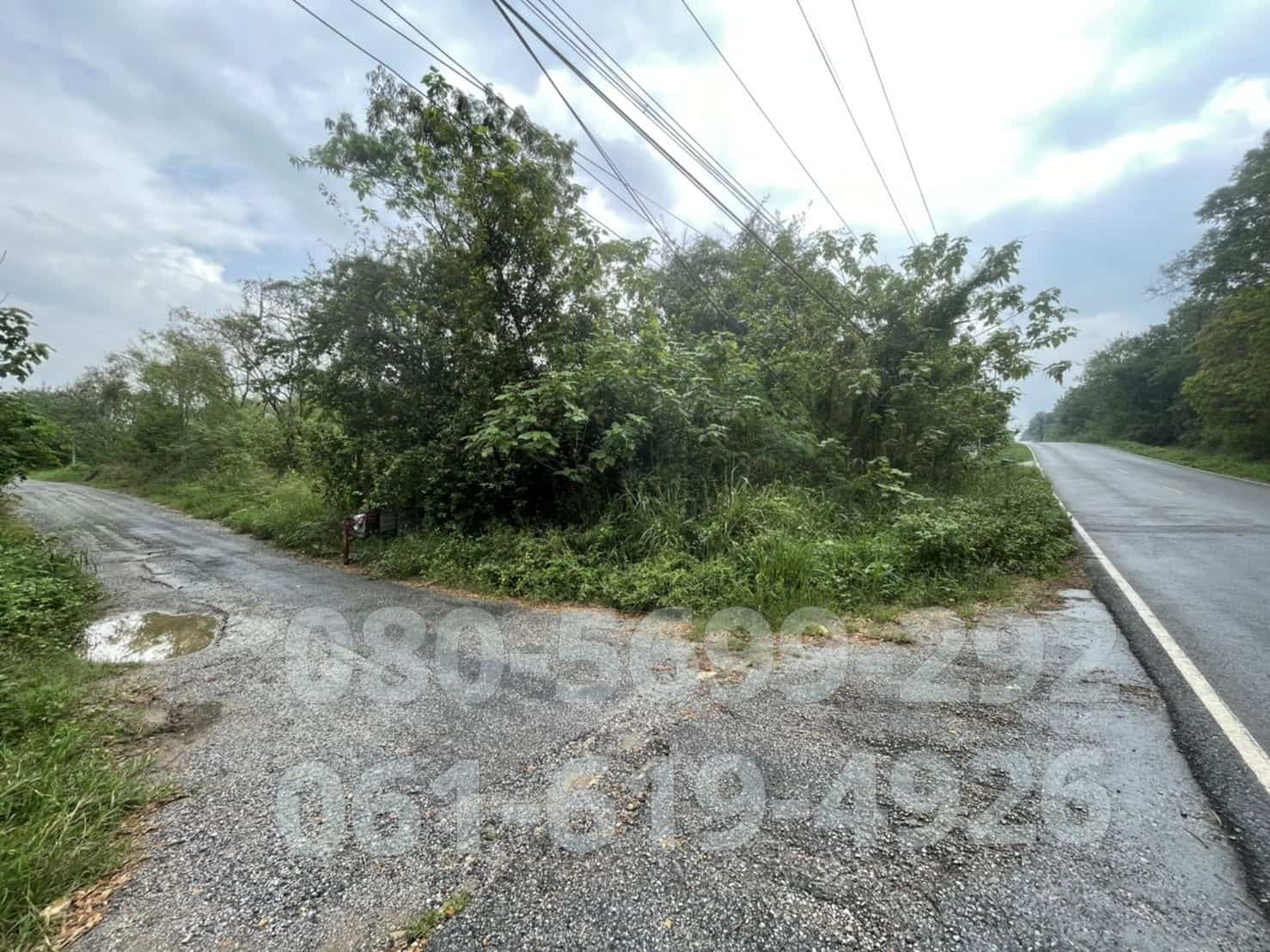 ขาย ที่ดินเปล่า ที่ดินจัดสรร ต.มิตรภาพ มวกเหล็ก 121ตรว. แปลงมุม ติดถนนหลวง