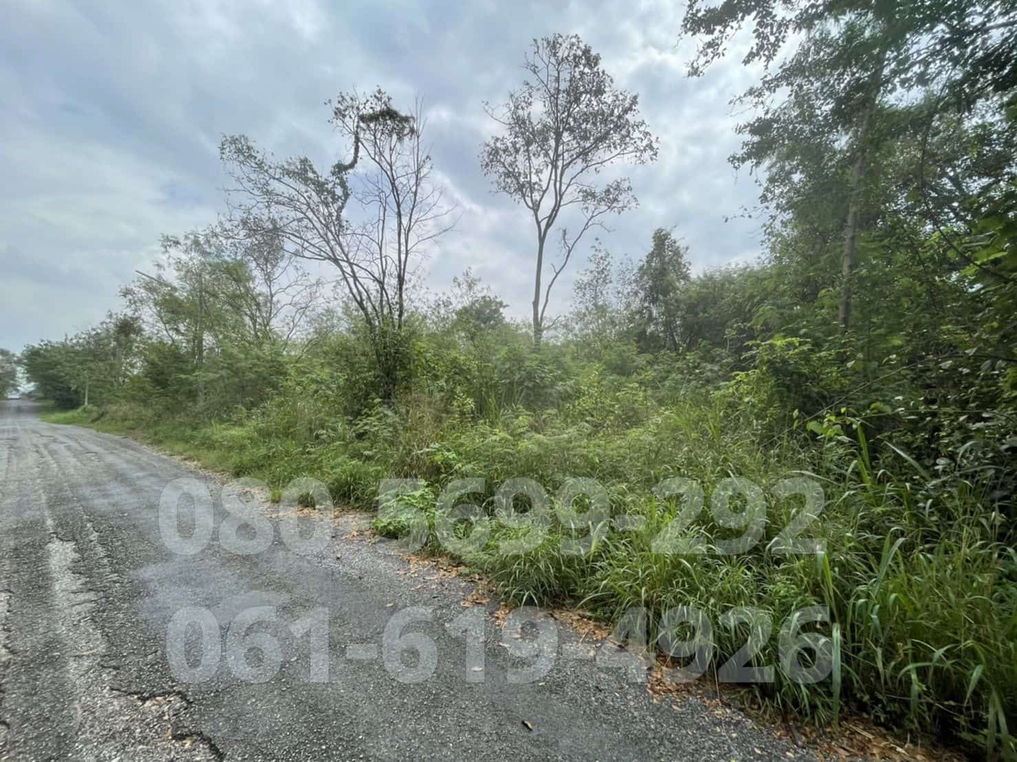 ขาย ที่ดินเปล่า ที่ดินจัดสรร ต.มิตรภาพ มวกเหล็ก 121ตรว. แปลงมุม ติดถนนหลวง
