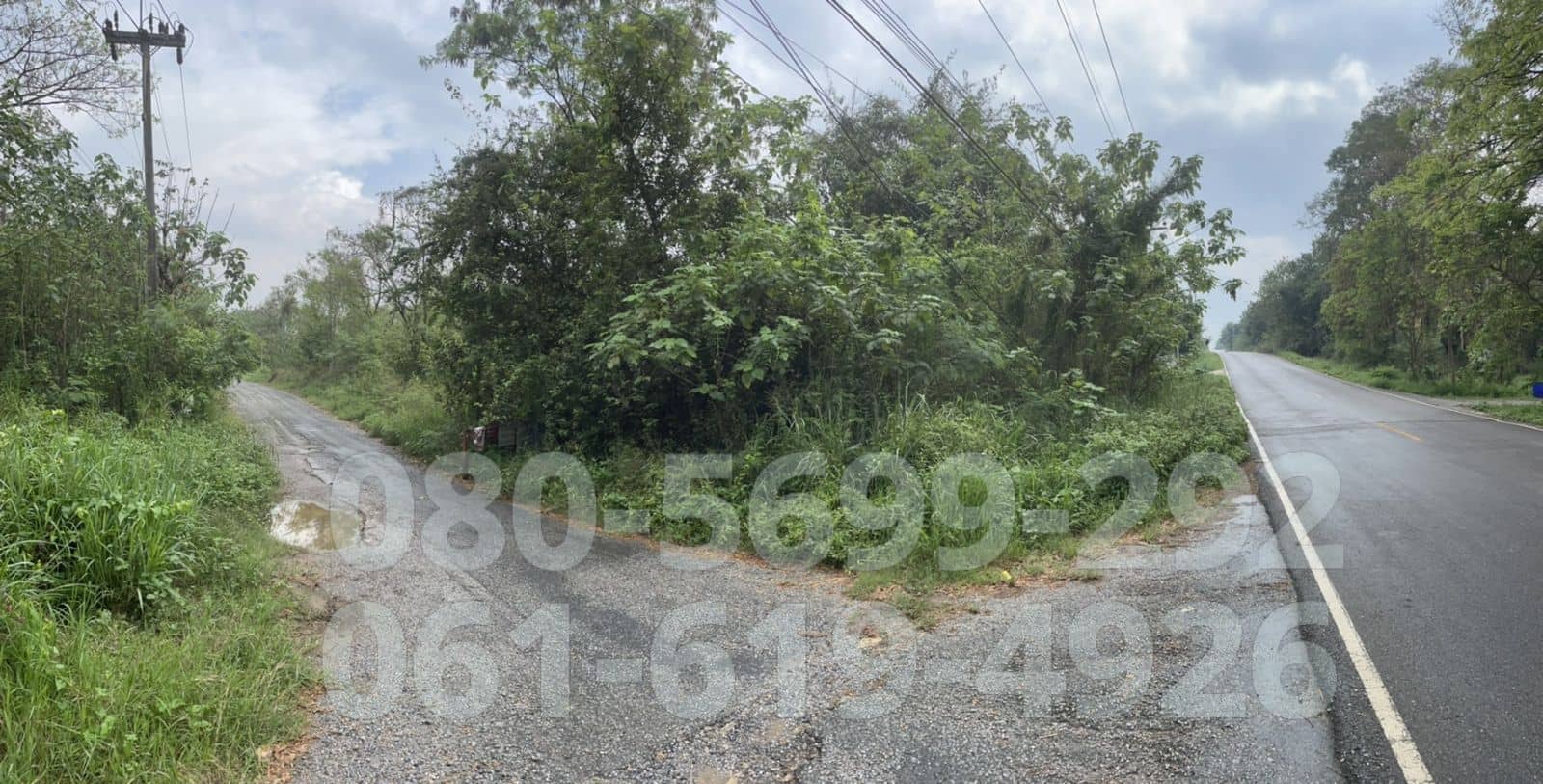 ขาย ที่ดินเปล่า ที่ดินจัดสรร ต.มิตรภาพ มวกเหล็ก 121ตรว. แปลงมุม ติดถนนหลวง