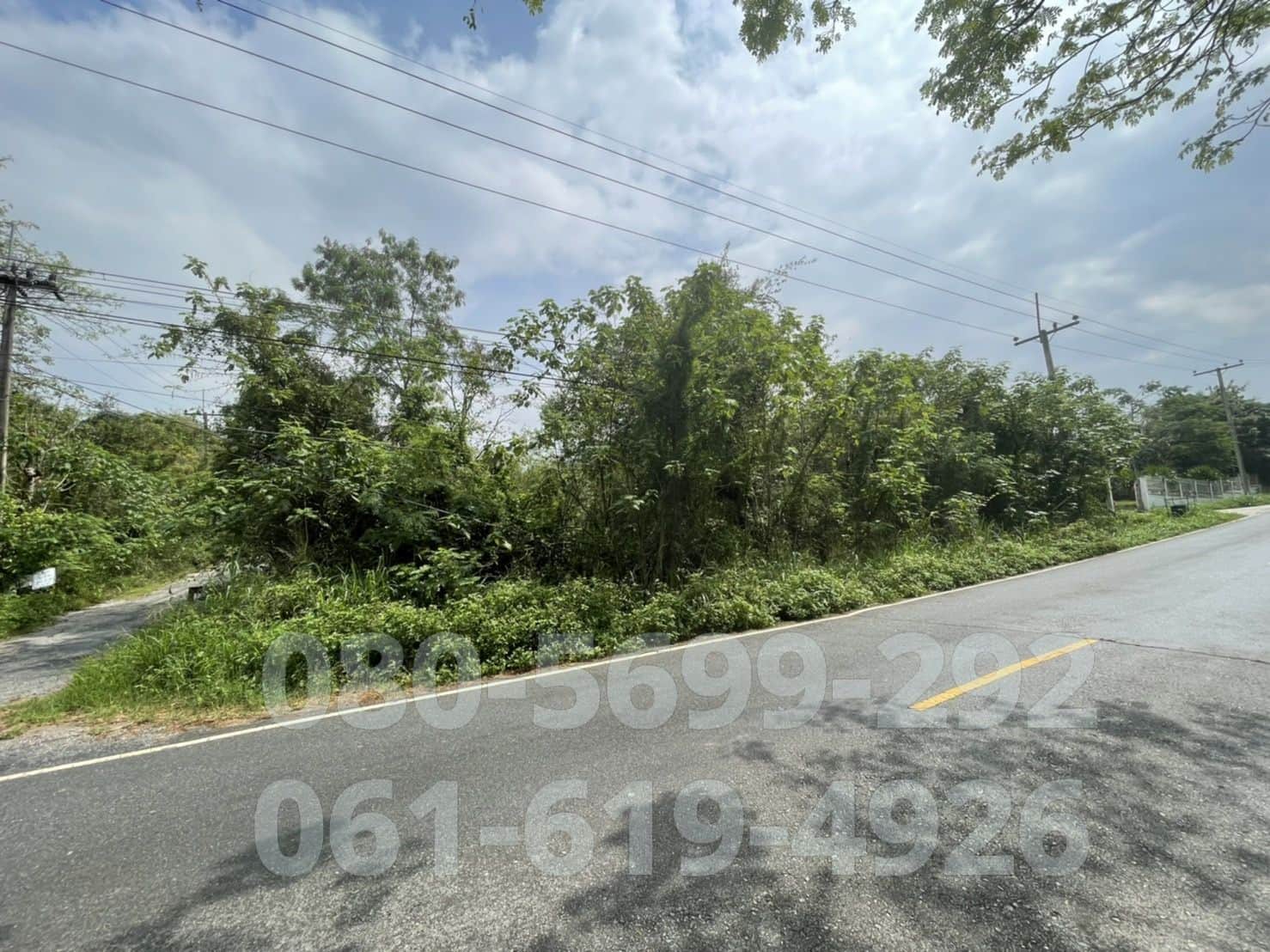 ขาย ที่ดินเปล่า ที่ดินจัดสรร ต.มิตรภาพ มวกเหล็ก 121ตรว. แปลงมุม ติดถนนหลวง