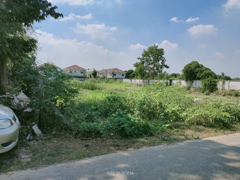 ขายที่ดินเปล่า แปลงสวย ในซอยวัดตะเคียน บางกรวย จ.นนทบุรี