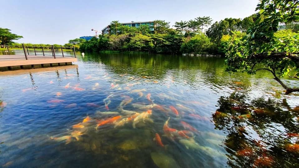 Sell ..ขายคอนโด Swan Lake Khao Yai (สวอนเลค เขาใหญ่) เขาใหญ่ คอนโดพักตากอากาศ Low Rise บนพื้นที่กว่า 68 ไร่ สนใจติดต่อ 080-9169359 ห้อง 2B-E ตึก F-305 ชั้น3 เนื้อที่ 90.50 ตารางเมตร 2 ห้องนอน 1 ห้องน้ำ Swan Lake เขาใหญ่ คอนโดพักตากอากาศ Low Rise