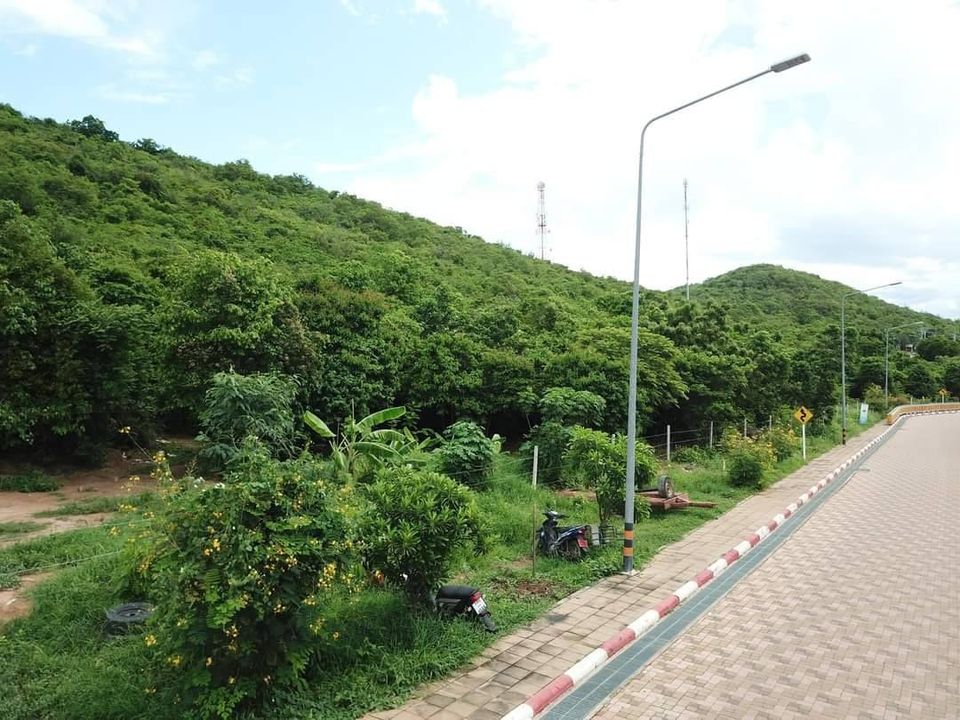 ขายที่ดิน บนเกาะล้าน เนื้อที่ 3 ไร่ 3 งาน 66 วา เหมาะทำคาเฟ่ รีสอร์ท สปา 
