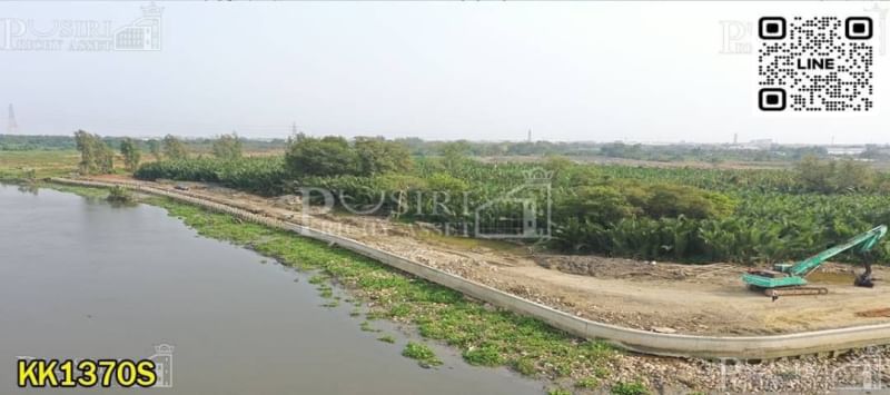 ขายนางงาม 170 ไร่ติดแม่น้ำท่าจีน 200 เมตร กำไร 350 - 400 ล้าน มาพร้อมเขื่อน ที่ถมน้อย ใกล้ ถ.พระราม 2 - KK1370S