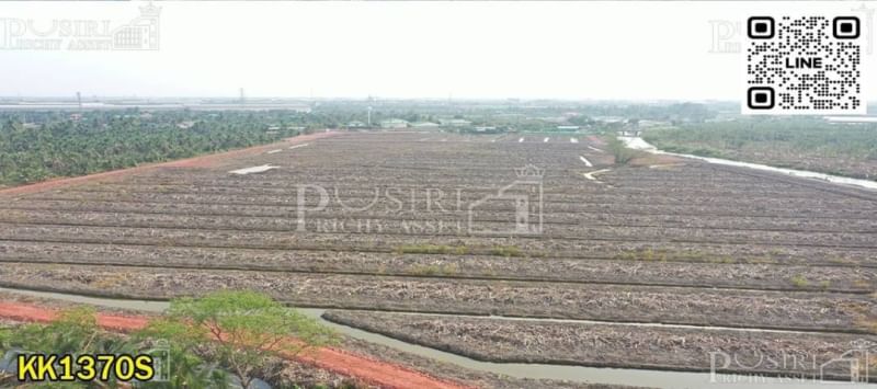 ขายนางงาม 170 ไร่ติดแม่น้ำท่าจีน 200 เมตร กำไร 350 - 400 ล้าน มาพร้อมเขื่อน ที่ถมน้อย ใกล้ ถ.พระราม 2 - KK1370S