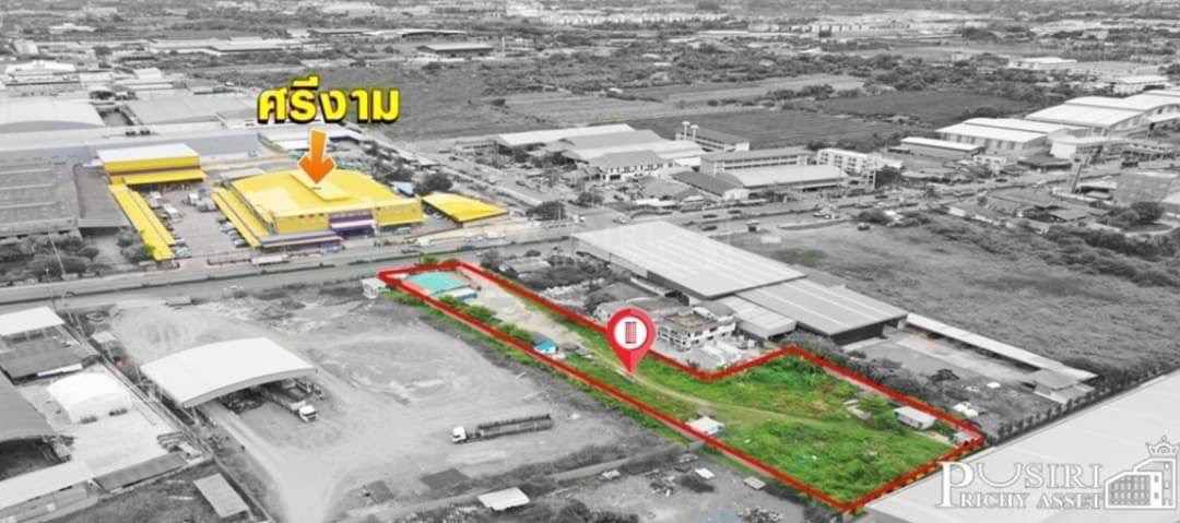 ขายที่ดิน ถมแล้ว ทำเลสุดปัง ระดับ 5 ดาว เนื้อที่ 983.1 ตารางวา ติดถนนเศรษฐกิจ ใกล้ถนนตัดใหม่ กัลปพฤกษ์ ในราคาคุ้มค่า 