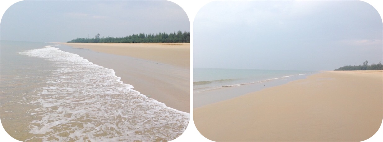 ขายที่ดินเกาะคอเขาติดชายหาด 30 ไร่ อำเภอตะกั่วป่า จังหวัดพังงา