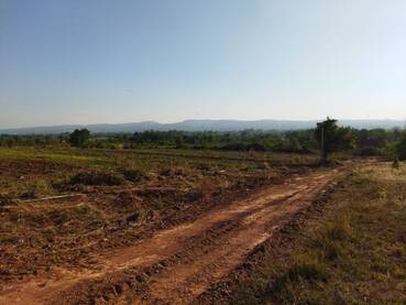 ขาย ที่ดิน ที่ตากอากาศ ราคาถูก อำเภอสีคิ้ว โคราช