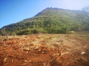 ขาย ที่ดิน ที่ตากอากาศ ราคาถูก อำเภอสีคิ้ว โคราช
