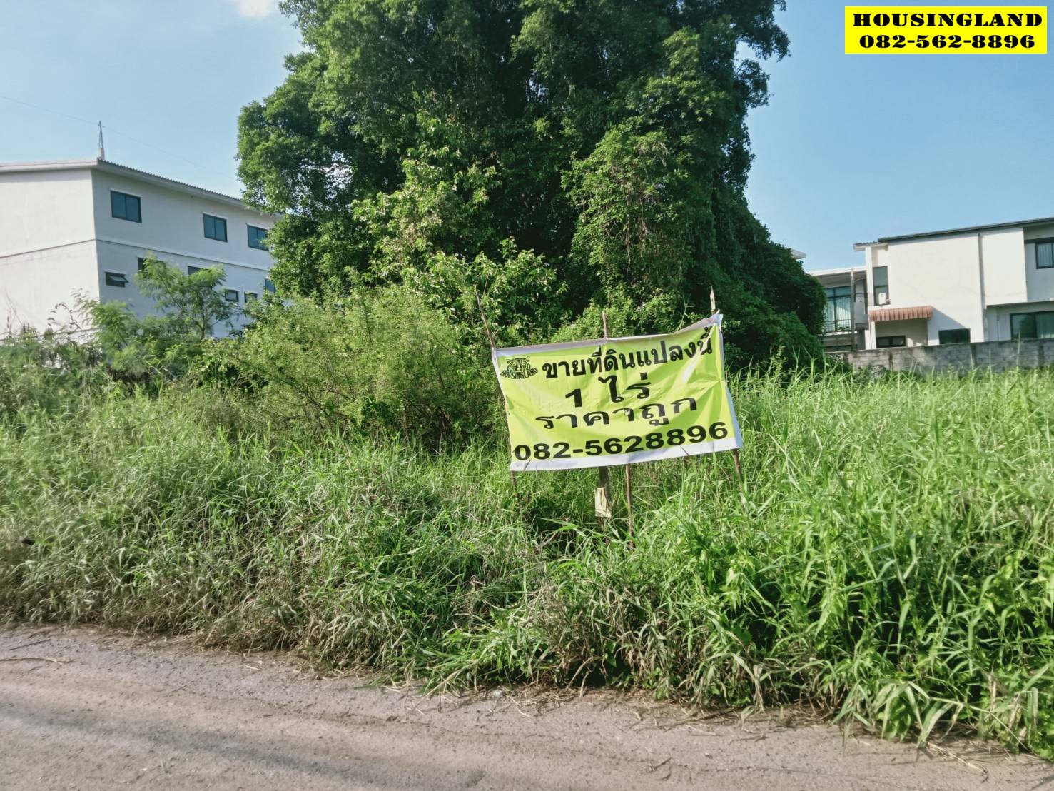 - ขายด่วน ที่ดินทำเลทอง ซอยคลองห้าตะวันออก3 ถนนเลียบคลองห้า ตำบลคลองห้า อำเภอคลองหลวง จังหวัดปทุมธานี  