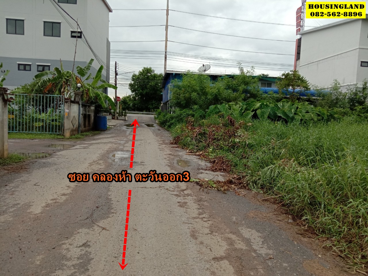 - ขายด่วน ที่ดินทำเลทอง ซอยคลองห้าตะวันออก3 ถนนเลียบคลองห้า ตำบลคลองห้า อำเภอคลองหลวง จังหวัดปทุมธานี  