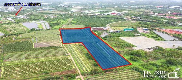 ที่ 31 ไร่ หน้ากว้าง 133 เมตร ราคาคุ้มสุดในตลาดเชื่อมต่อหลายเส้นทาง ถนนสวนส้ม บางปลา พระราม 2