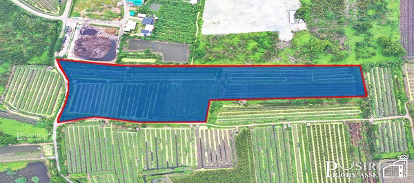 ที่ 31 ไร่ หน้ากว้าง 133 เมตร ราคาคุ้มสุดในตลาดเชื่อมต่อหลายเส้นทาง ถนนสวนส้ม บางปลา พระราม 2