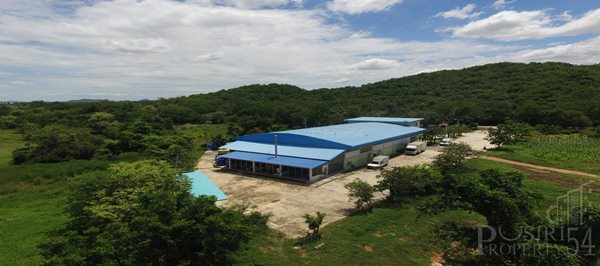 ครบทุกอย่าง กับ โรงงาน+ใบอนุญาต บนเนื้อที่กว่า 13ไร่ พร้อมใช้งานต่อได้ทันที ติดถนนสายเขากวาง-บ้านดอนแร่ ราชบุรี ในราคาสุดพิเศษ – ขายโรงงานราชบุรี