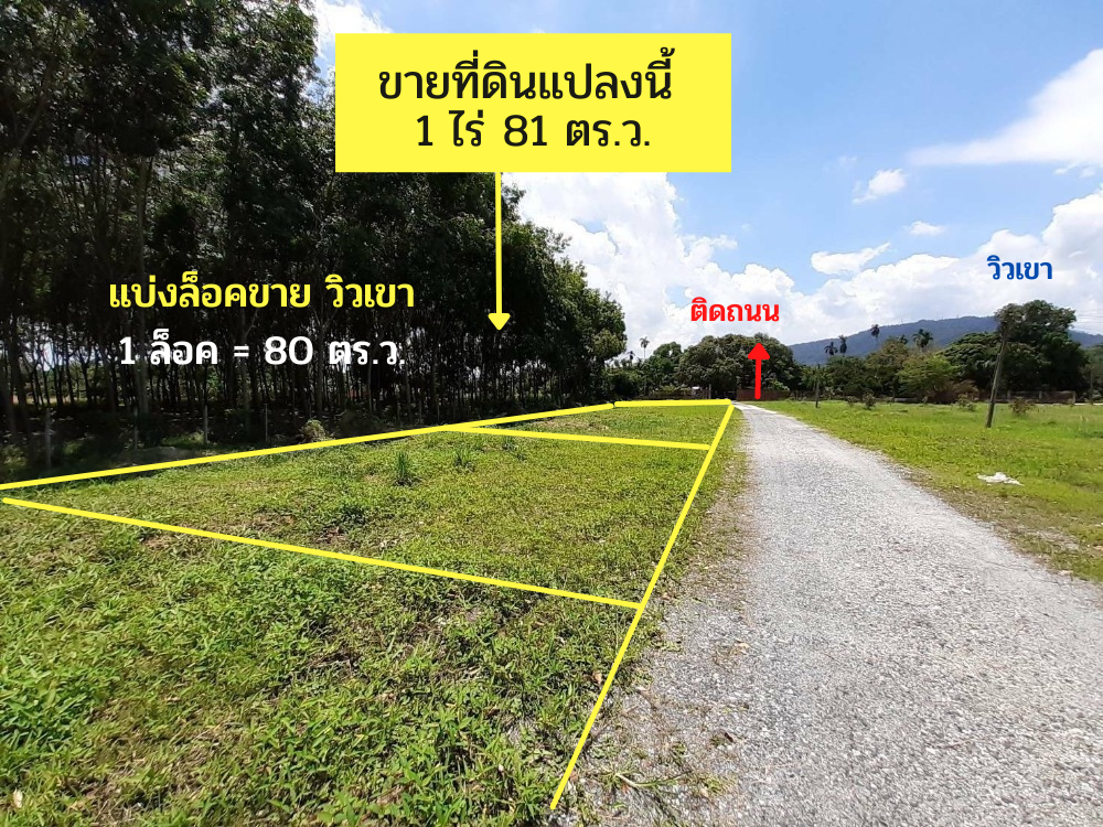 ขายที่ดินเปล่า 1 ไร่ (มีจัดแบ่งล็อคขาย) วิวเขา ติดถนน ต.ตะพง จ.ระยอง