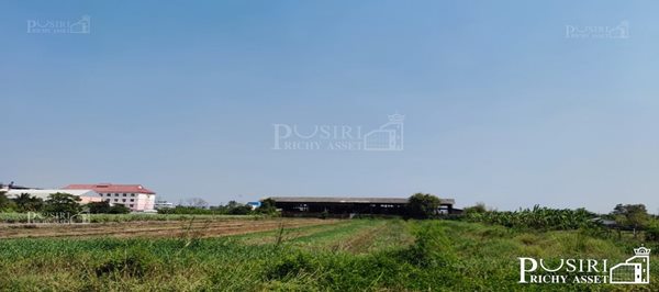 ขายที่อนาคตดี 10ไร่ ในราคาโปรโมชั่น ใกล้กับแนวขยายเส้นกัลปพฤกษ์ ติด ถ.เลียบคลองหมื่นปรารมย์ - บางบอน 5 - ขายที่ดินสมุทรสาคร - KK2174S