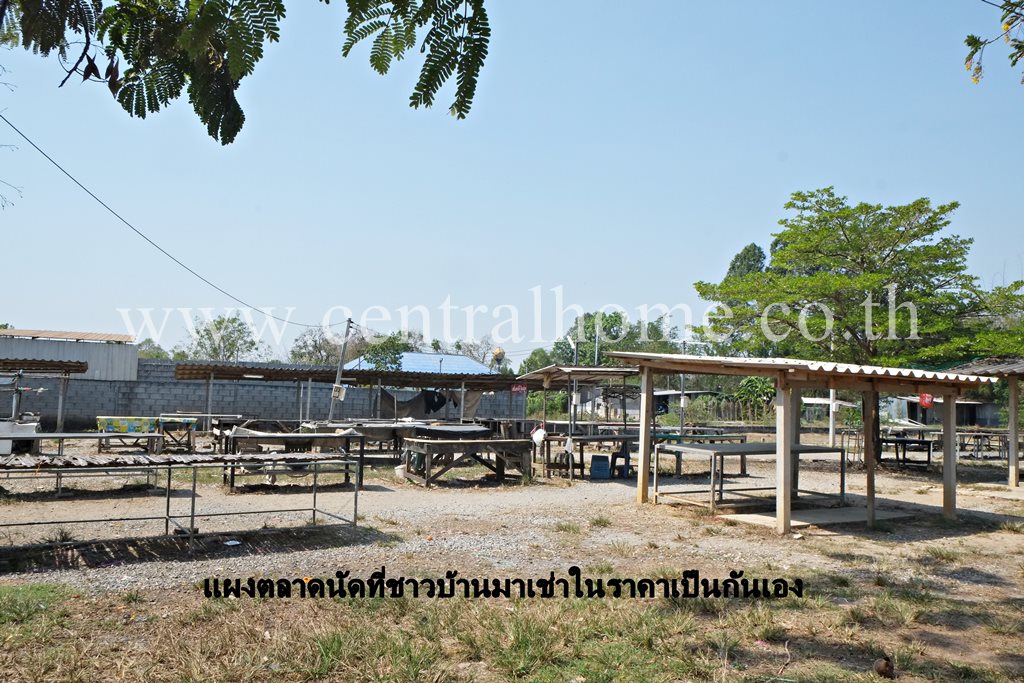 บ้านชั้นเดียว พร้อม ที่ดิน 4 - 1 - 45 ไร่ จังหวัดฉะเชิงเทรา