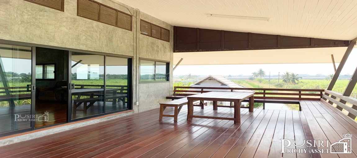 ขายบ้านสวน 10 ไร่ ใกล้กับมอเตอร์เวย์บางใหญ่ บ้านใหม่ย้ายเข้าอยู่ได้ ทันที ลมเย็นตลอดวัน เงียบสงบ ซื้อทำกำไรได้ - KK4916S
