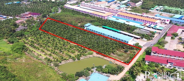 ที่สวย 4 ไร่เศษ ทำเลทองหลังนิคมสุทรสาคร ลงตัวทั้งทำโรงงาน กิจการหอพัก ราคาพิเศษ เชื่อมต่อถนนสวนส้ม-พระราม 2 ได้อย่างสะดวก