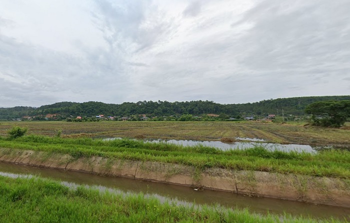 ขายที่ดิน/ที่นา เนื้อที่ 2 ไร่ ที่ดินวิวดอยหลวง สงบ ใกล้ชิดธรรมชาติ ต.เชียงดาว อ.เชียงดาว จ.เชียงใหม่