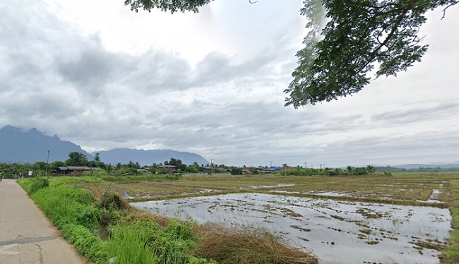 ขายที่ดิน/ที่นา เนื้อที่ 2 ไร่ ที่ดินวิวดอยหลวง สงบ ใกล้ชิดธรรมชาติ ต.เชียงดาว อ.เชียงดาว จ.เชียงใหม่