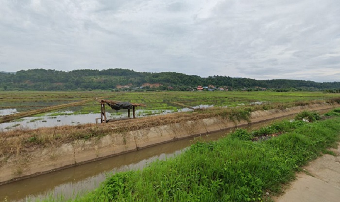 ที่ดิน / ที่นา 7 ไร่ 3 งาน 74 ตร.ว วิวดอยหลวงชัดเจน หน้ากว้างยาว ติดลำเหมือง ติดถนน 