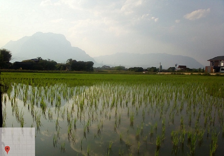 ที่ดิน / ที่นา 7 ไร่ 3 งาน 74 ตร.ว วิวดอยหลวงชัดเจน หน้ากว้างยาว ติดลำเหมือง ติดถนน 