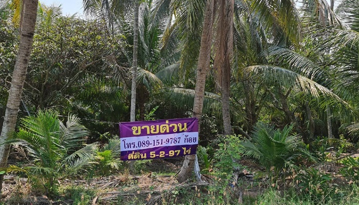 ด่วน ขายที่ดิน สวนมะม่วง 5-2-97 ไร่ ต.สวนส้ม ใกล้ตลาดกระทุ่มแบน ถูกมาก เหมาะทำโกดังสินค้า