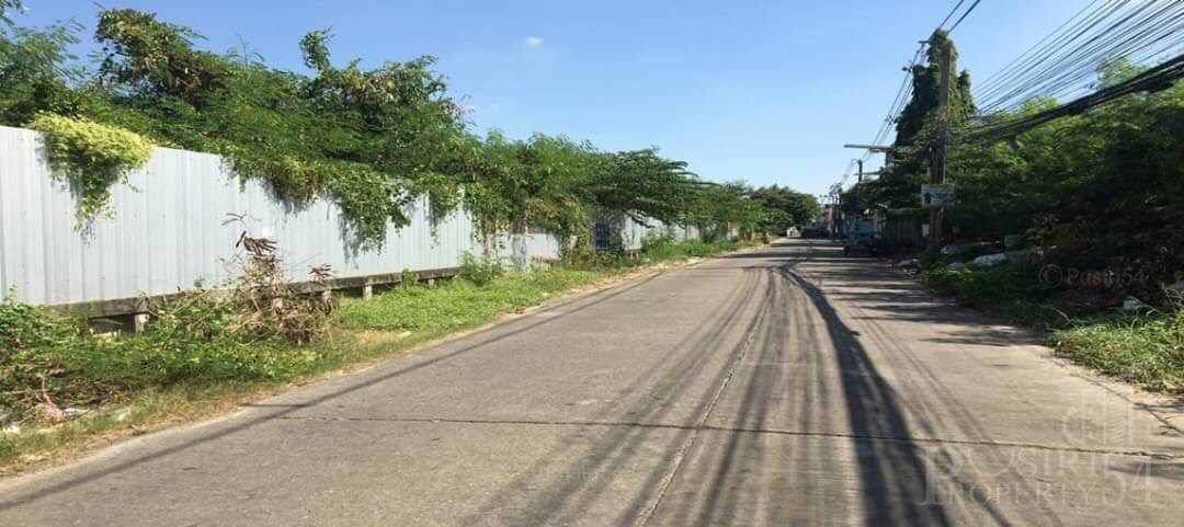 ที่ดิน แปลงสวย ลดราคาพิเศษ 3ไร่เศษ เหมาะทำสำนักงาน คอนโด เเละหอพัก ใกล้สิ่งอำนวยความสะดวกทุกอย่าง ใกล้รถไฟฟ้าสถานีเพชรเกษม 48 หลัง ม.สยาม - KK0667S