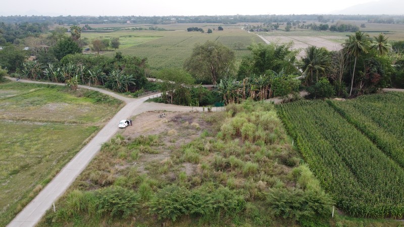 (เจ้าของขายเอง) ขายที่ดินเปล่า ถมแล้ว ในตัวเมือง 5 นาทีถึงตลาด วิวธรรมชาติ ล้อมรอบด้วยต้นไม้ ทำเลดี ใกล้แหล่งชุมชน หมู่ 7 ต.สะเดียง อ.เมือง จ.เพชรบูรณ์ 50 ตารางวา เหมาะสำหรับสร้างบ้าน